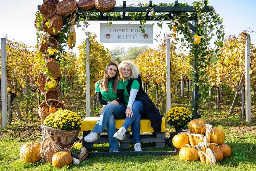 Sudionice Wine&Walk Ludbreg u jesenskom vinogradu