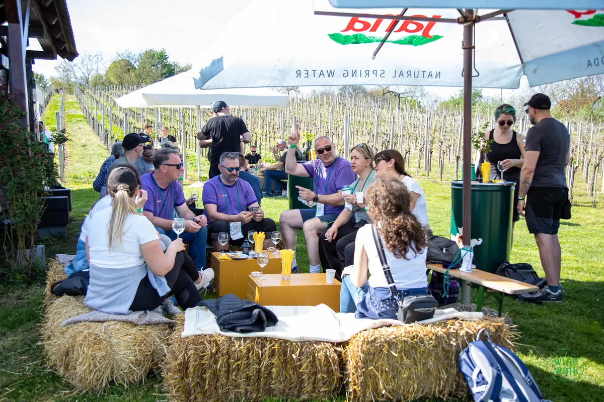 Predah na balama sijena među vinogradima