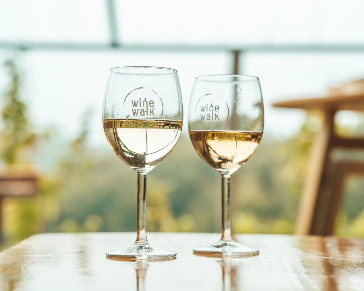 Dvije Wine&Walk čaše bijelog vina